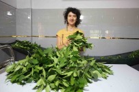 10 Yillik Meslegini Birakan Kadin, Aldigi Devlet Destegiyle Kendi Isinin Patronu Oldu