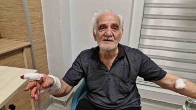 Çoban Köpegi Duvardan Atlayip Yasli Adamin Elini Parçaladi