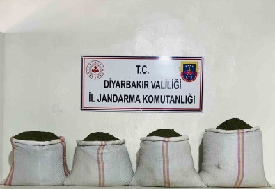 Diyarbakir'da 34 Bin 500 Kök Kenevir Ve 112 Kilo Esrar Ele Geçirildi