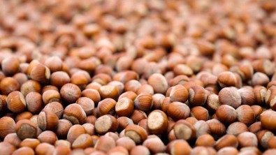 Ferrero Grubu'ndan Hedeflerine Ulasma Noktasinda Önemli Ilerleme