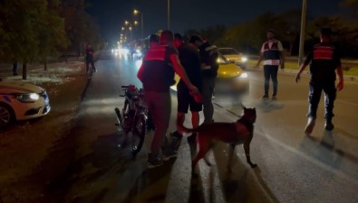 Gaziantep'te Jandarmadan Sok Huzur-Güven Uygulamasi Açiklamasi 5 Gözalti