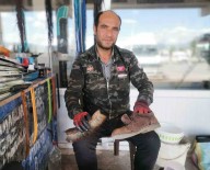 Gediz Otogari'nda 25 Yildir Ayakkabi Boyaciligi Yapiyor