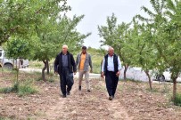 Mersin'de 'Organik Tarim' Projesi Ile Ürünlerin Verimi Artiyor Haberi