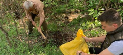 Elazig'da Salep Sogani Toplamak Pahaliya Patladi Açiklamasi 775 Bin Lira Ceza Aldilar