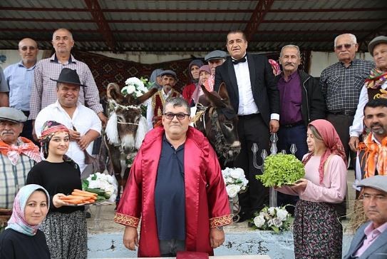 Antalya'da eşek düğünü: Gelinlik damatlık giydirdiler