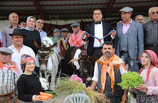 Antalya'da eşek düğünü: Gelinlik damatlık giydirdiler