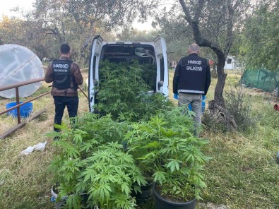 Ayvalik'ta Polisten Uyusturucu Operasyonu