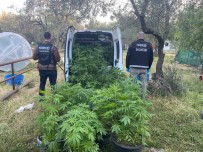 Ayvalik'ta Polisten Uyusturucu Operasyonu