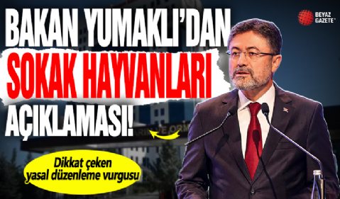 Bakan Yumaklı'dan sokak hayvanları açıklaması: Dikkat çeken yasal düzenleme vurgusu!