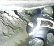 Sulama Kanalinin Altinda Dogum Yapan Köpek Ve Yavrulari Kurtarildi