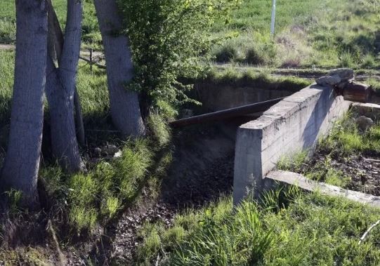 Kastamonu’da kesik baş cinayeti: Ekipler sulama kanalında buldu! Detaylar korkunç…