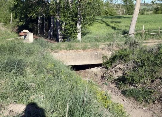 Kastamonu’da kesik baş cinayeti: Ekipler sulama kanalında buldu! Detaylar korkunç…