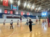 Darica'da 19 Mayis Gençlik Turnuvalari Basladi