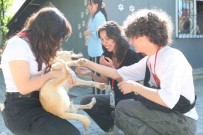 Merkezefendi Belediyesi 3 Ülkeden Gelen Ögrencileri Agirladi