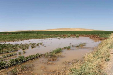 Sanliurfa'da Tarimsal Sulamada Elektrik Tüketimi 3'E Katlandi