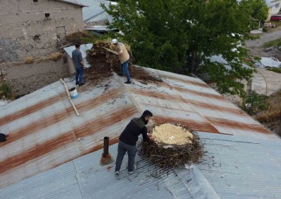 Tunceli'de Örnek Davranis Açiklamasi Hasarli Binalarin Çatilarindaki Leylek Yuvalari Güvenli Yere Tasindi