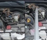 Hakkari'de Kamyonetin Motoruna Giren Yilan Güçlükle Çikartildi