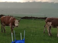 Ceviz Büyüklügünde Dolu Yagdi, Köy Beyaza Büründü