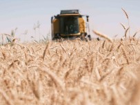 Emekli Ögretmenin Mardin'de Zorlu Biçerdöver Mesaisi