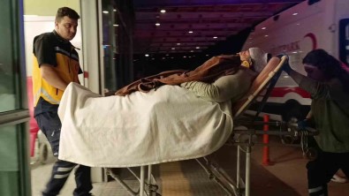 Erik Toplamak Için Çiktigi Duvardan Düstü