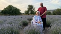 Kilisin 'Mor' Bahçesine Ziyaretçi Akini Haberi