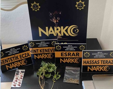 Mugla'da Uyusturucu Operasyonu Açiklamasi4 Tutuklama