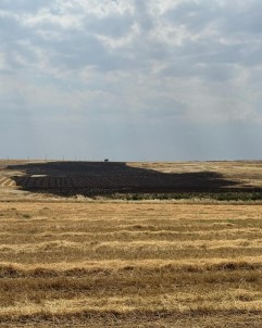Siirt'te Yildirim Düsen Tarlarda Yangin Çikti