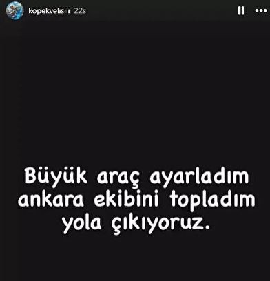 Kuduz köpekler Ankara'ya mı getirildi? Valilik harekete geçti