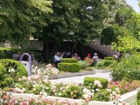 Afyonkarahisar'da Asiri Sicaklar Etkili Oldu