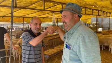 Modern Hayvan Pazari'nda Kurbanlik Alisverisi Devam Ediyor