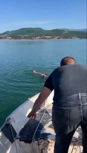 Tokat Almus Baraji'nda Bir Kisi Son Anda Kurtarildi