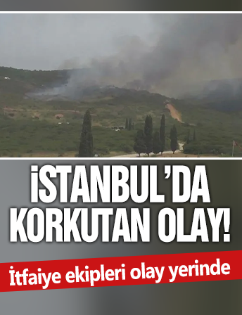 Tuzla'da Piyade Okulu arazisinde yangın çıktı