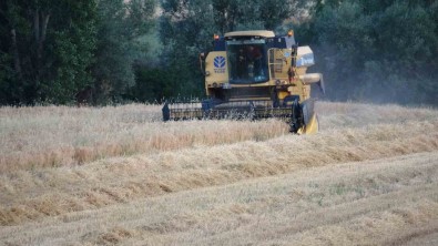 Yozgat'ta Kuraklik Nedeniyle Arpa Hasadi Erken Basladi