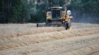 Yozgat'ta Kuraklik Nedeniyle Arpa Hasadi Erken Basladi Haberi