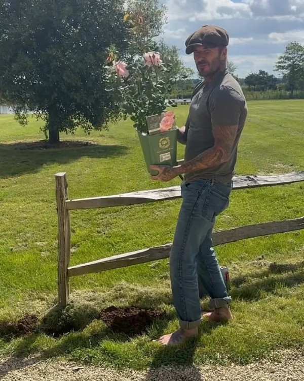 Beckham'ın yeni işi şaşırttı