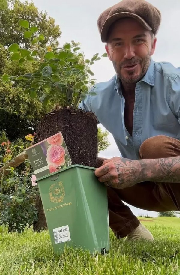Beckham'ın yeni işi şaşırttı