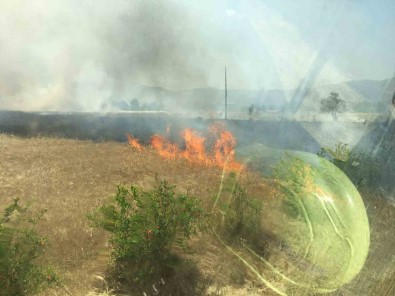 Burdur'da Bin Dönümün Üzerinde Ekin Tarlasi Küle Döndü