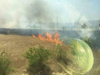 Burdur'da Bin Dönümün Üzerinde Ekin Tarlasi Küle Döndü Haberi