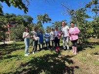 Giresun'da 17 Bin 360 Samuray Arisi Salimi Yapildi