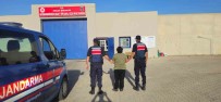 Kaçak Sahsi Jandarma Yakaladi