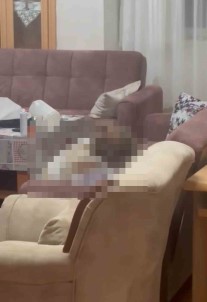 Mardin'de Haber Alinamayan Yasli Adam Evinde Ölü Bulundu