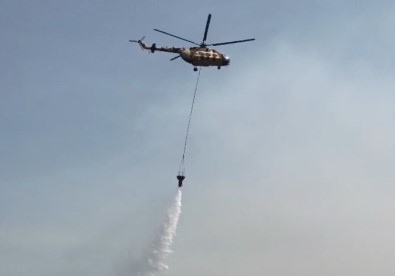Sinop'taki Orman Yangini Devam Ediyor