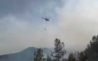 Sinop'taki Orman Yangini Haberi