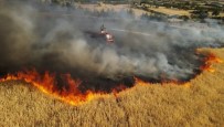 Bucak'ta Ayni Günde Çikan 6 Farkli Yanginda 400 Dekar Alan Yandi Haberi