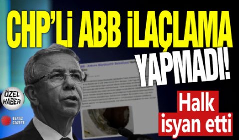 CHP yönetimindeki Ankara'da sivrisinek istilası! ilaçlama eksikliği yüzünden...