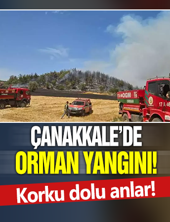Korku dolu anlar! Çanakkale'de orman yangını
