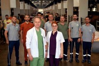 Osmangazi'nin Kurban Yakalama Timi Göreve Hazir Haberi