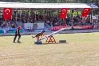 Siirt Il Jandarma Komutanligi 185. Kurulus Yildönümünü Kutladi Haberi
