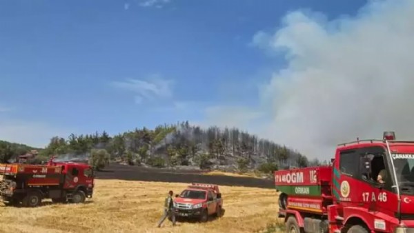 Korku dolu anlar! Çanakkale'de orman yangını