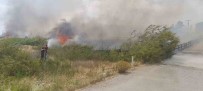 Burdur'da Gün Içinde Çikan Yanginlarda 700 Dekar Alan Ve 1 Ev Ile Odunluk Yandi Haberi